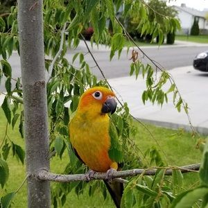 Meet your Posher, Mikayla